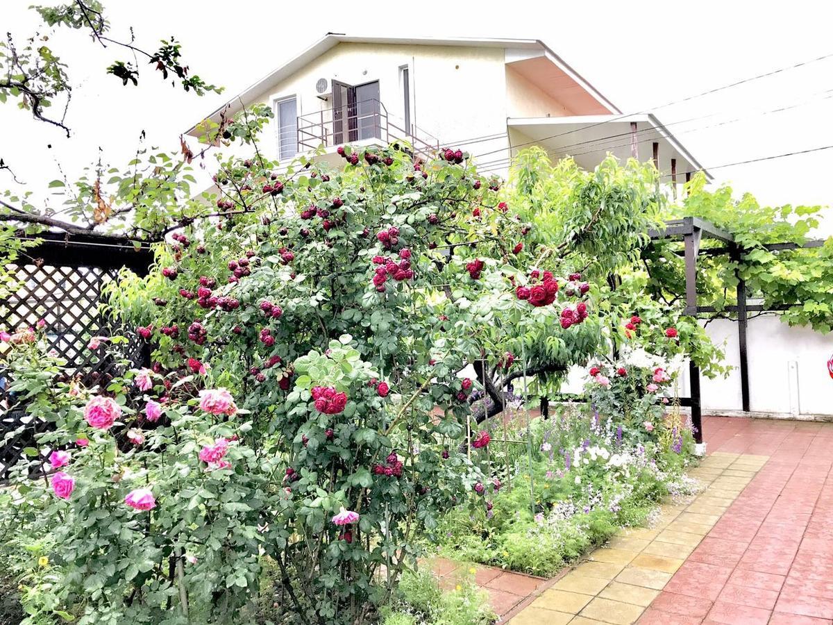 Akvitaniya Mini-Hotel Zatoka Εξωτερικό φωτογραφία
