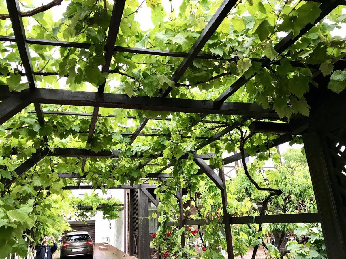 Akvitaniya Mini-Hotel Zatoka Εξωτερικό φωτογραφία